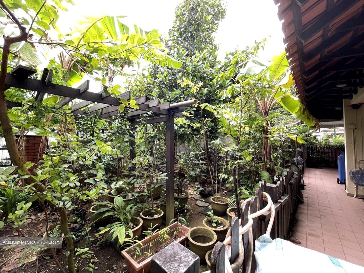 Upper Changi Road North (D17), Semi-Detached #495578971